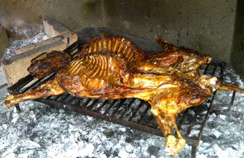 COMO COCINAR CORDERO como cocinar cordero: